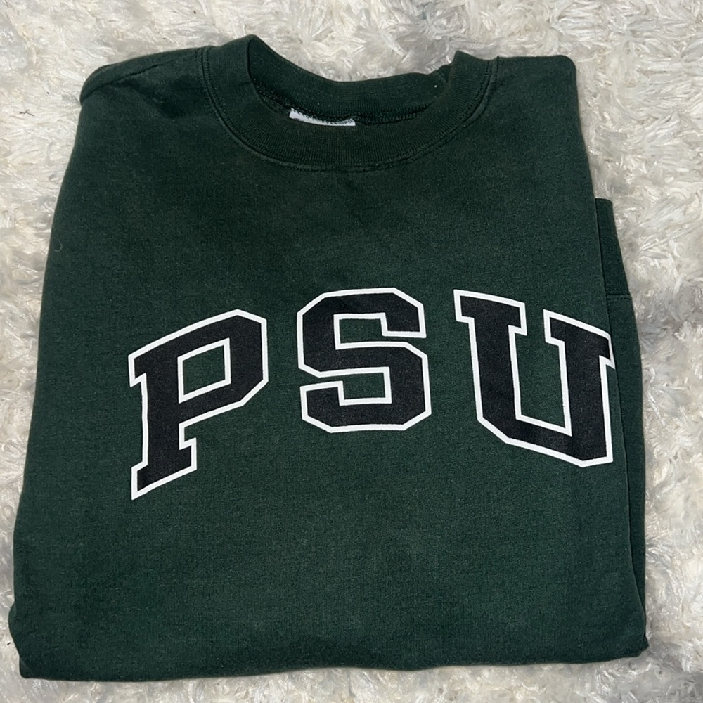 Unisex Size Medium Champion College Crewneck Pullover